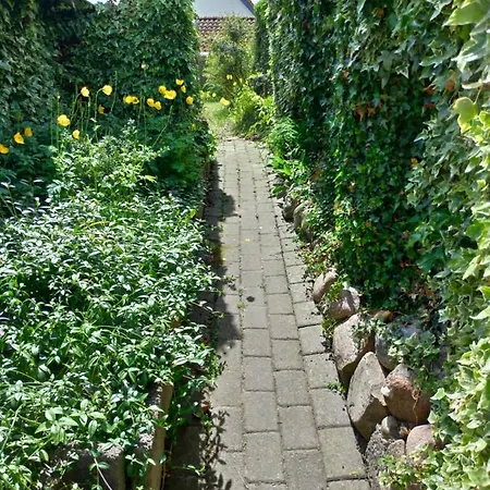 Hokeriet C Nordborg Kommune